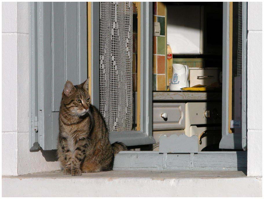 Auf der Fensterbank