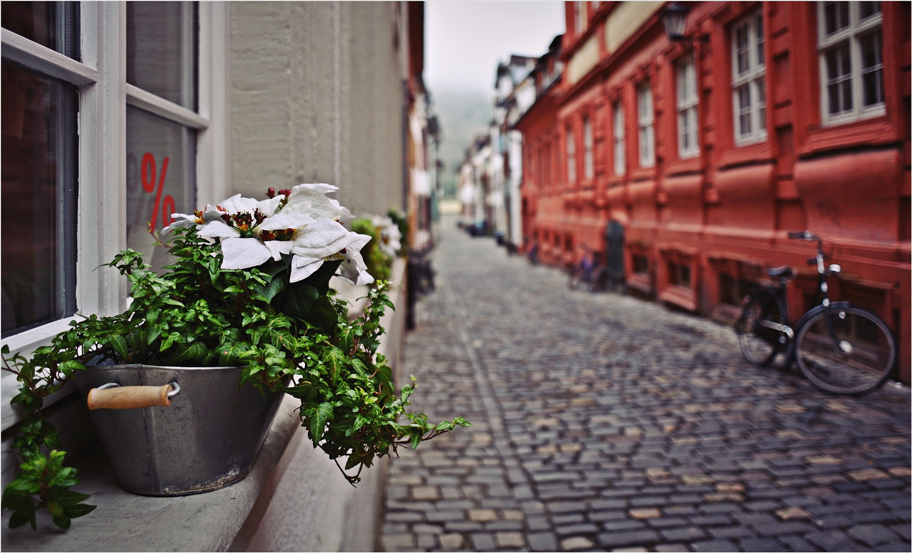 auf der Fensterbank