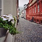 auf der Fensterbank