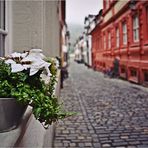 auf der Fensterbank