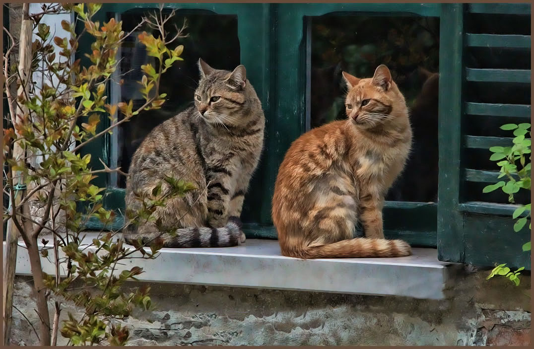 auf der Fensterbank