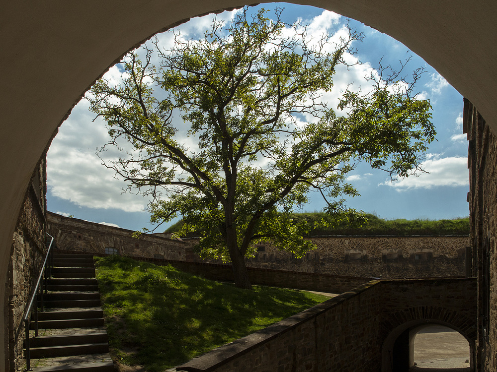 Auf der Festung Ehrenbreitstein