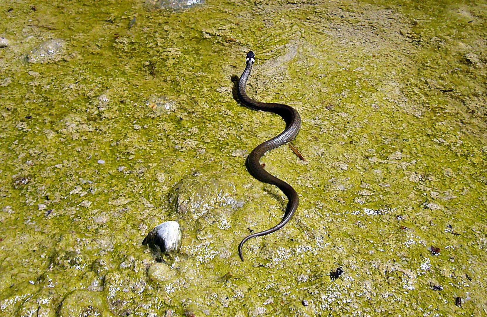 Auf der Flucht