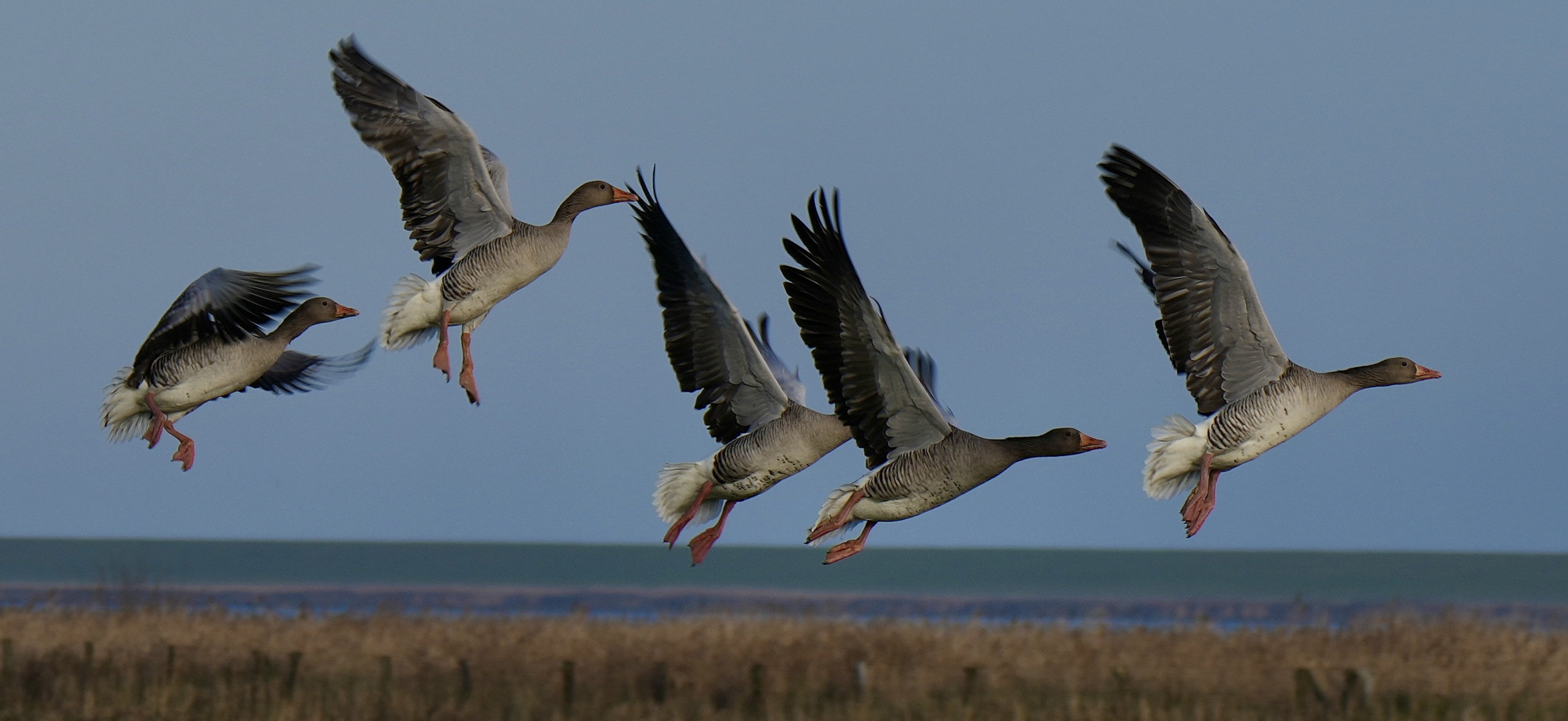 … auf der Flucht