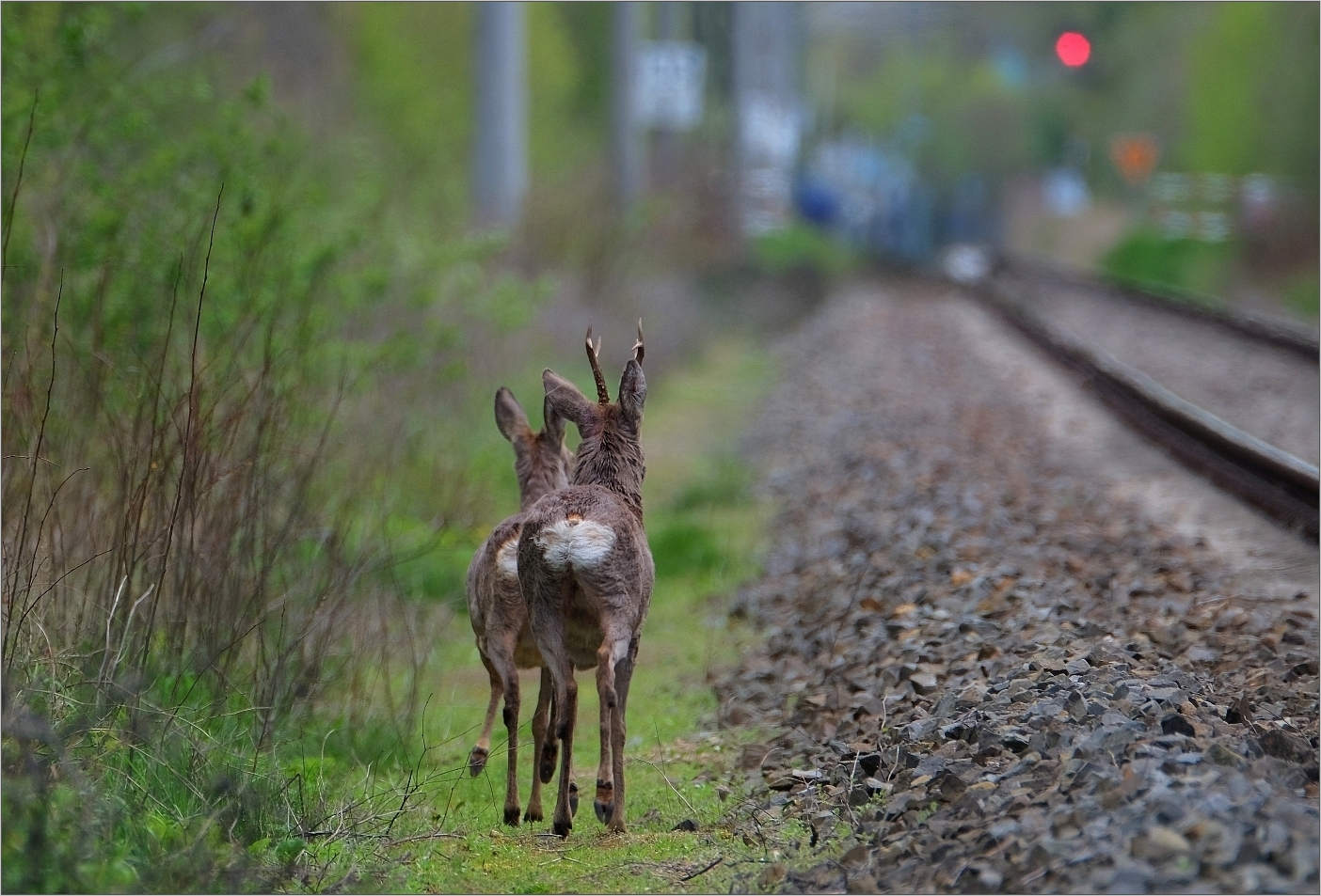 Auf der Flucht