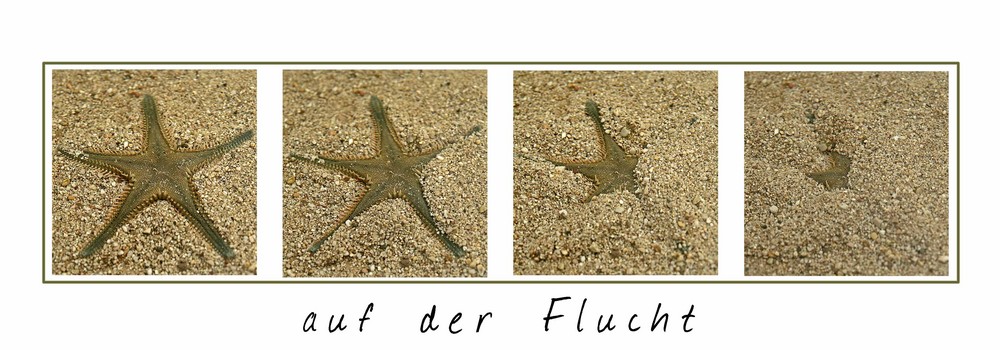 auf der Flucht