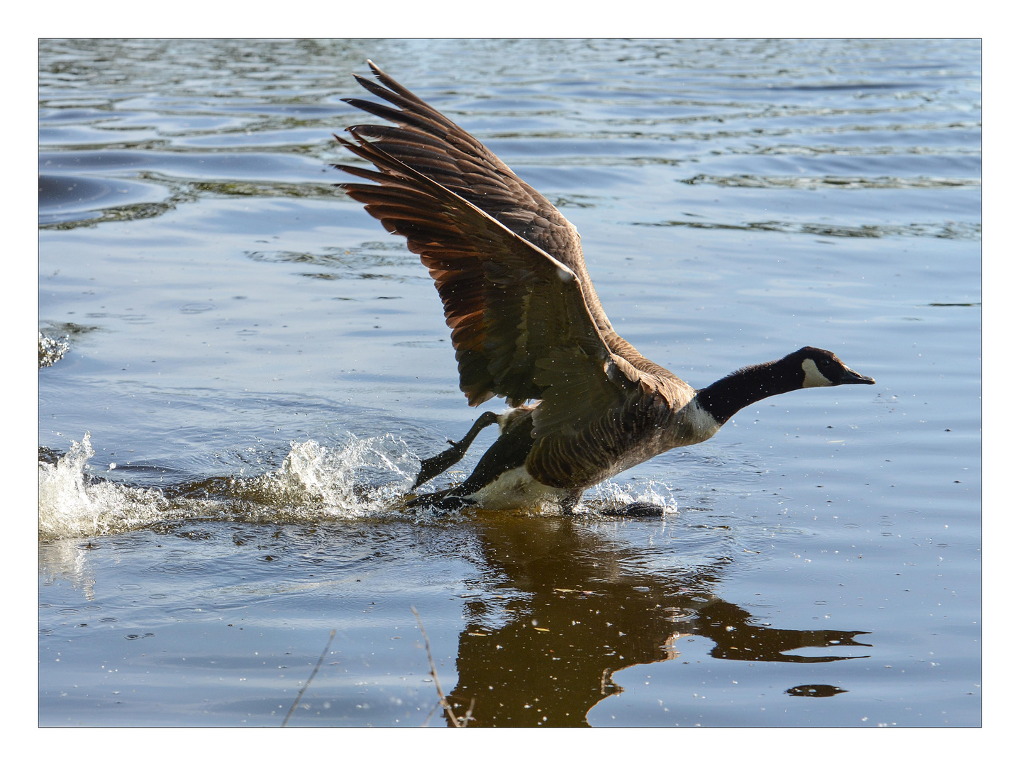 auf der Flucht 2