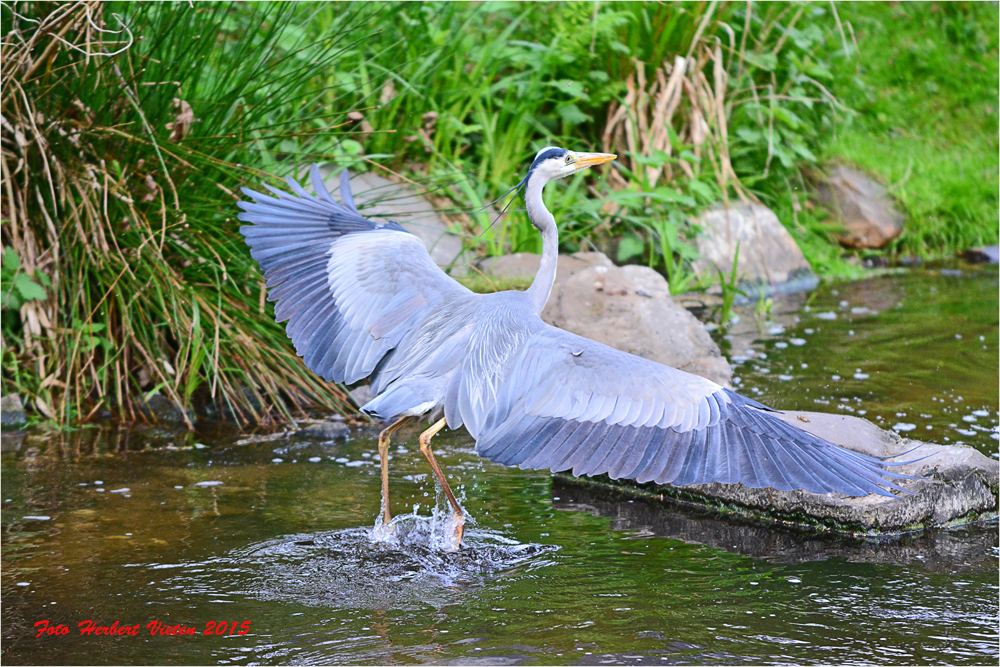 Auf der Flucht