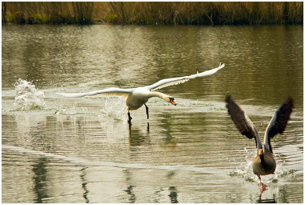 Auf der Flucht