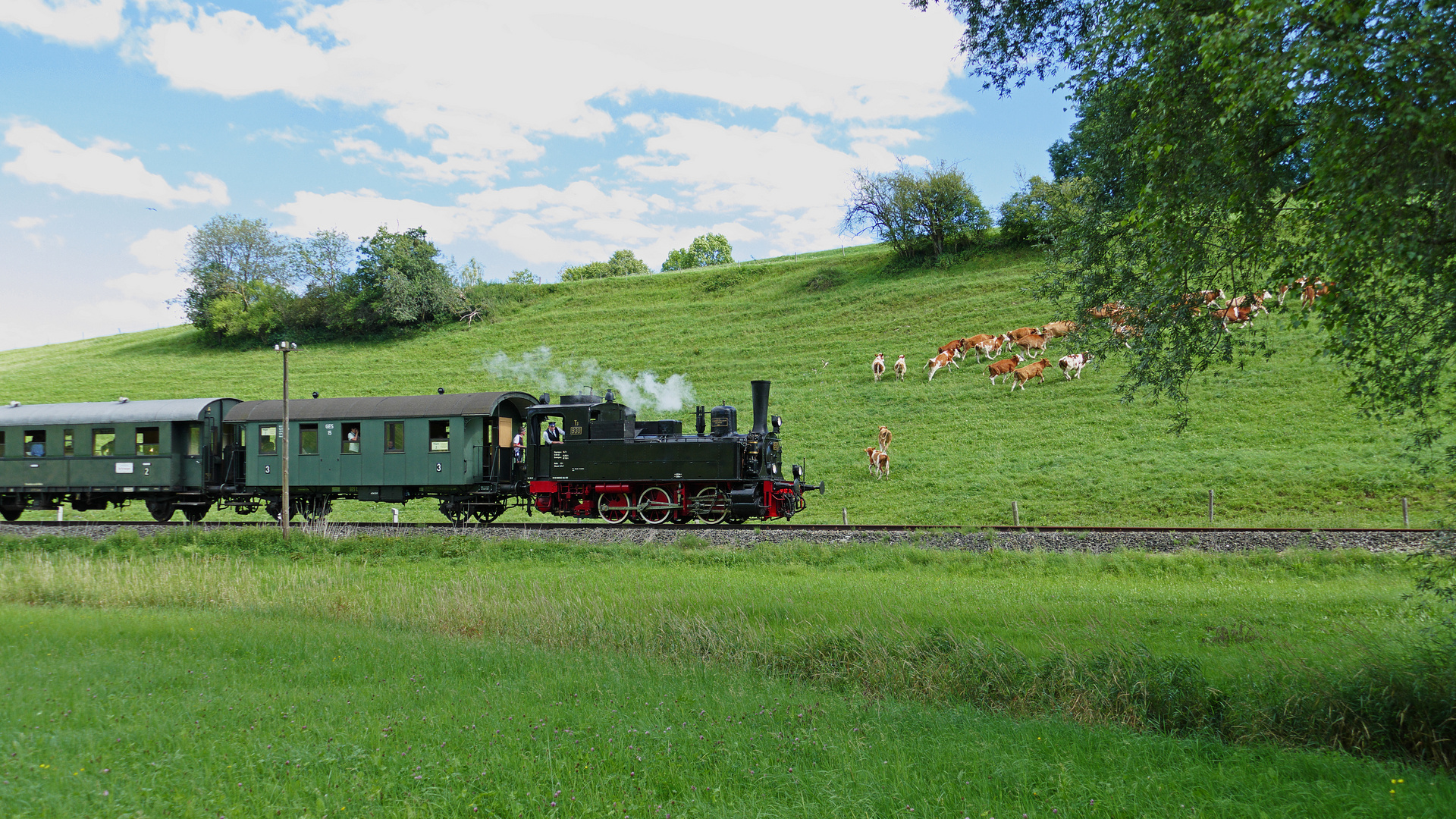 Auf der Flucht