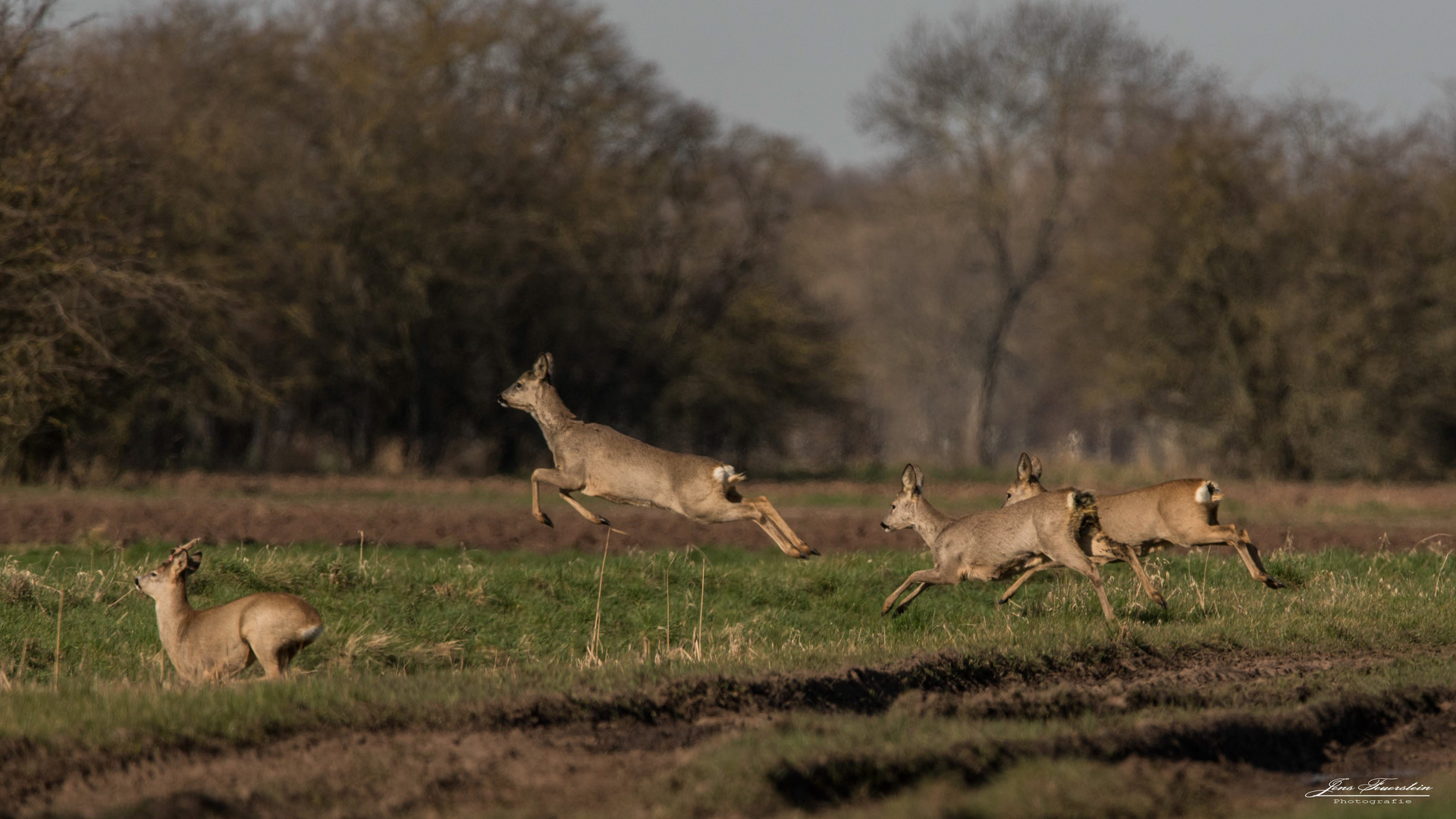 Auf der Flucht