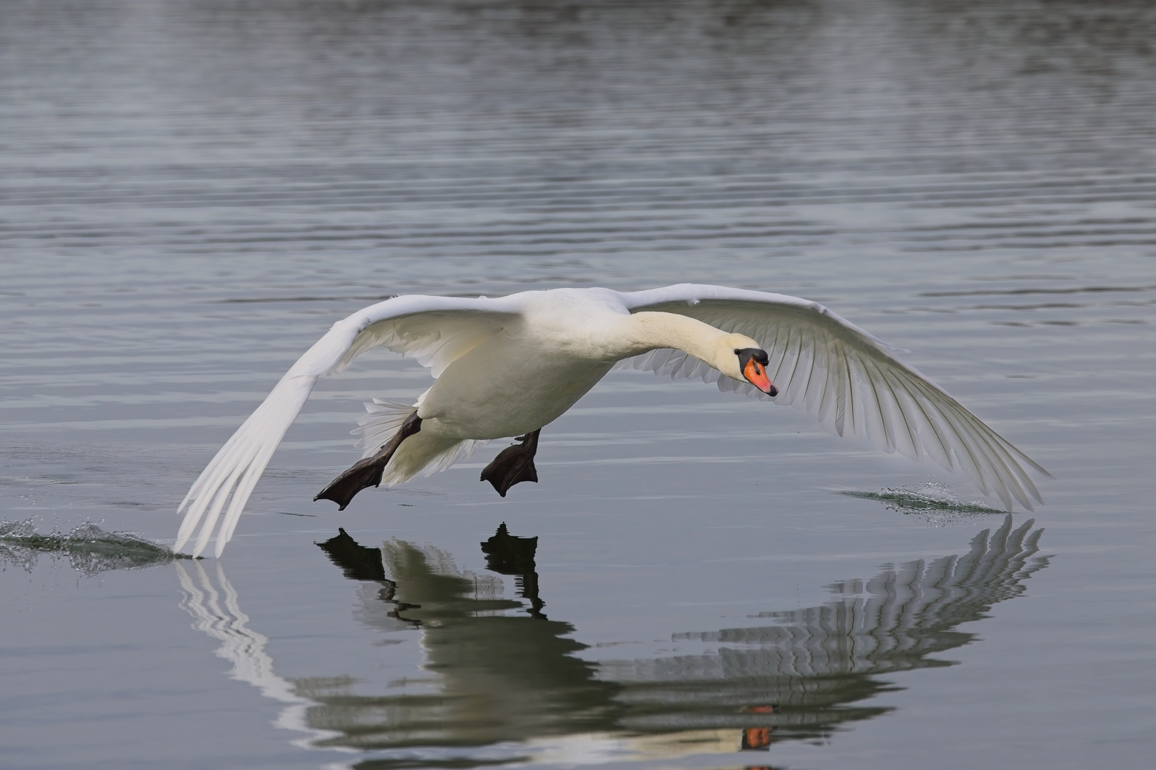 Auf der Flucht