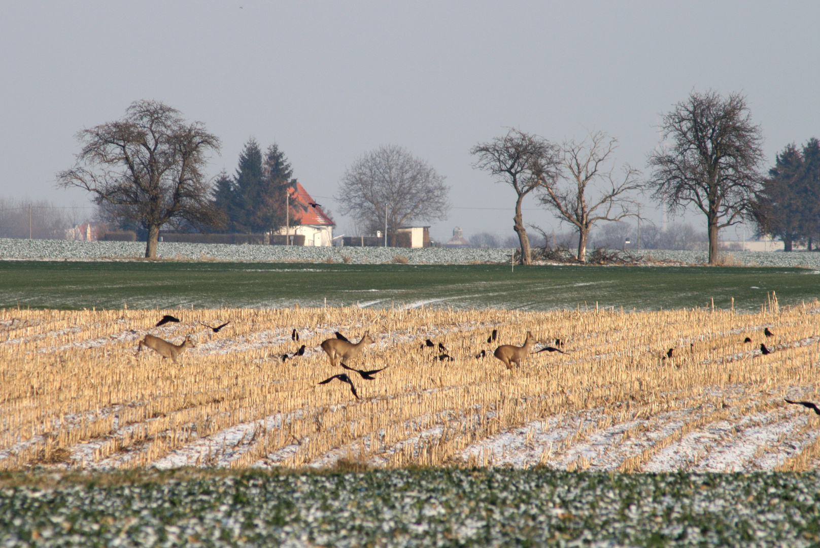 Auf der Flucht