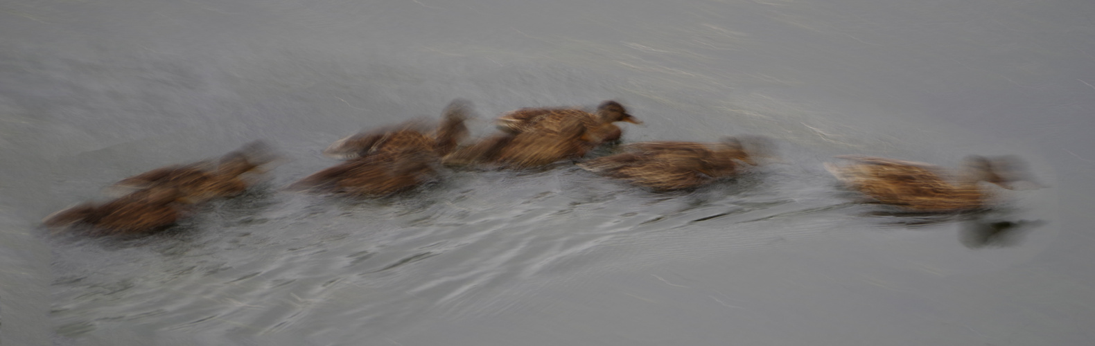 Auf der Flucht