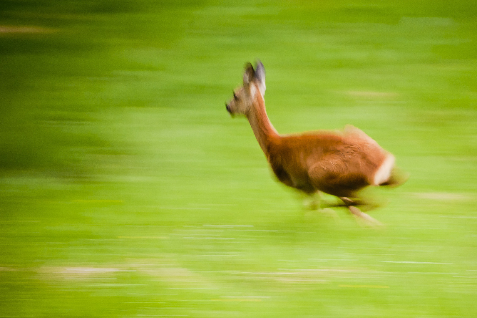 Auf der Flucht