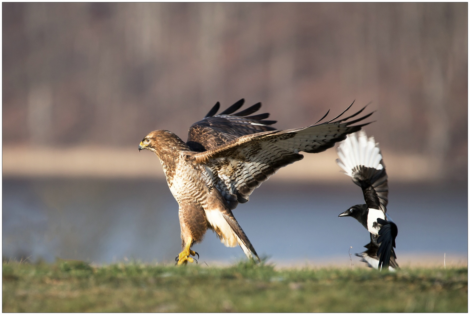 auf der Flucht