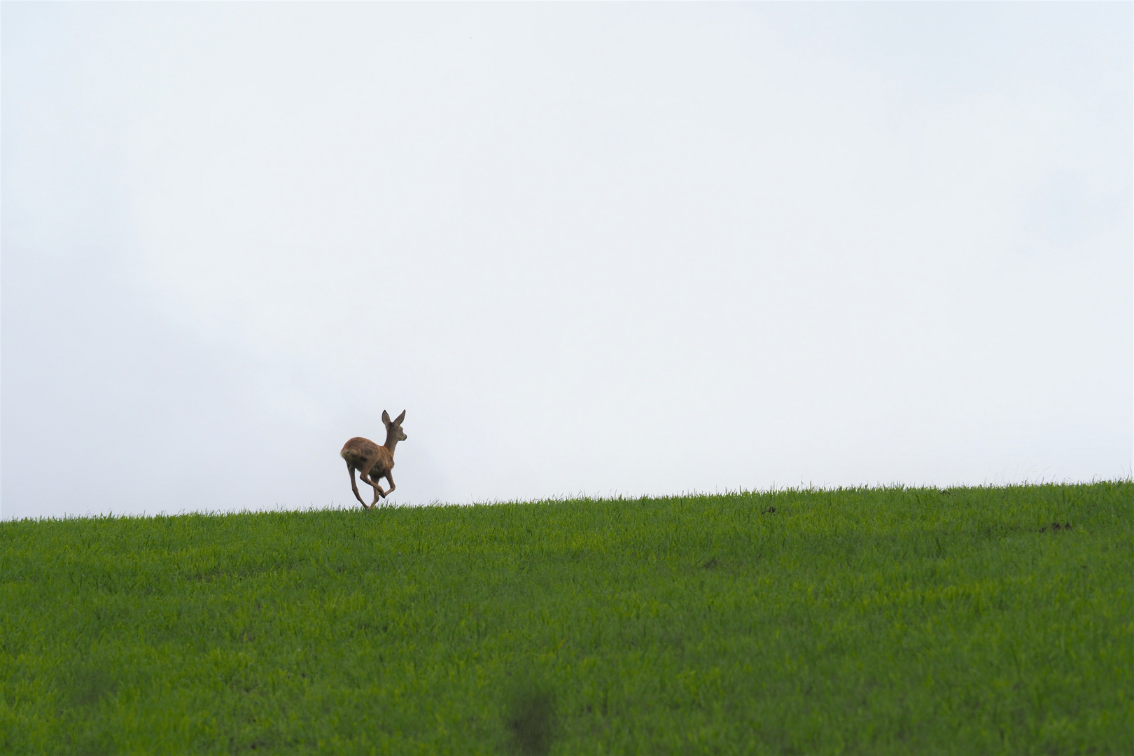 Auf der Flucht