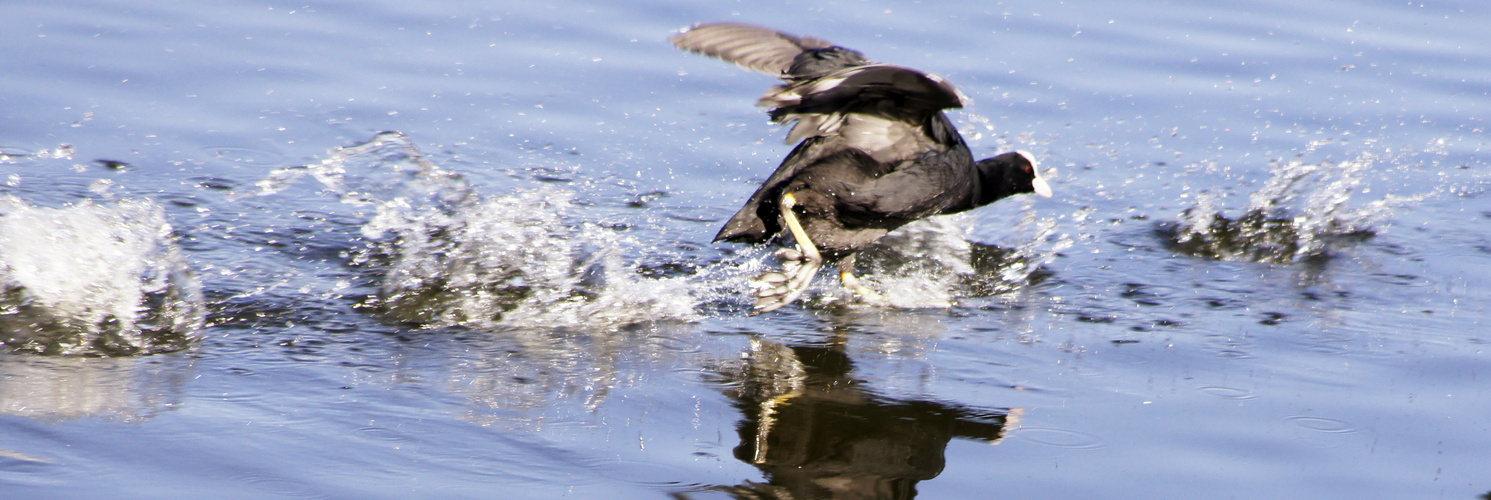 Auf der Flucht