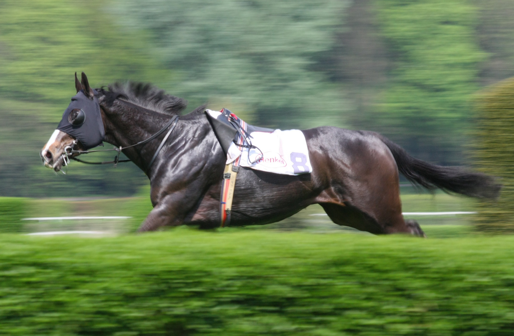 Auf der Flucht