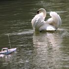 Auf der Flucht vor dem Fortschritt