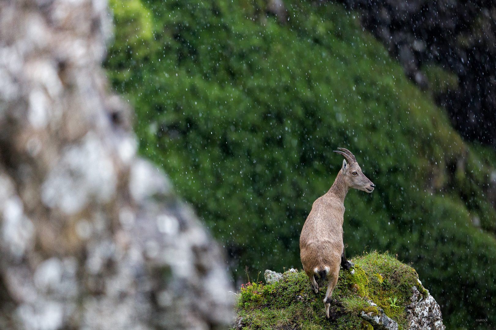 Auf der Flucht vor dem Regen....