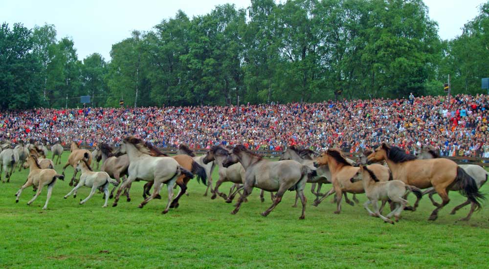 Auf der Flucht vor den Fängern