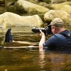 Auf der Fotopirsch...