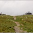 Auf der Frauenalpe bei Murau