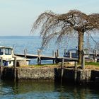 Auf der Fraueninsel im Chiemsee 12