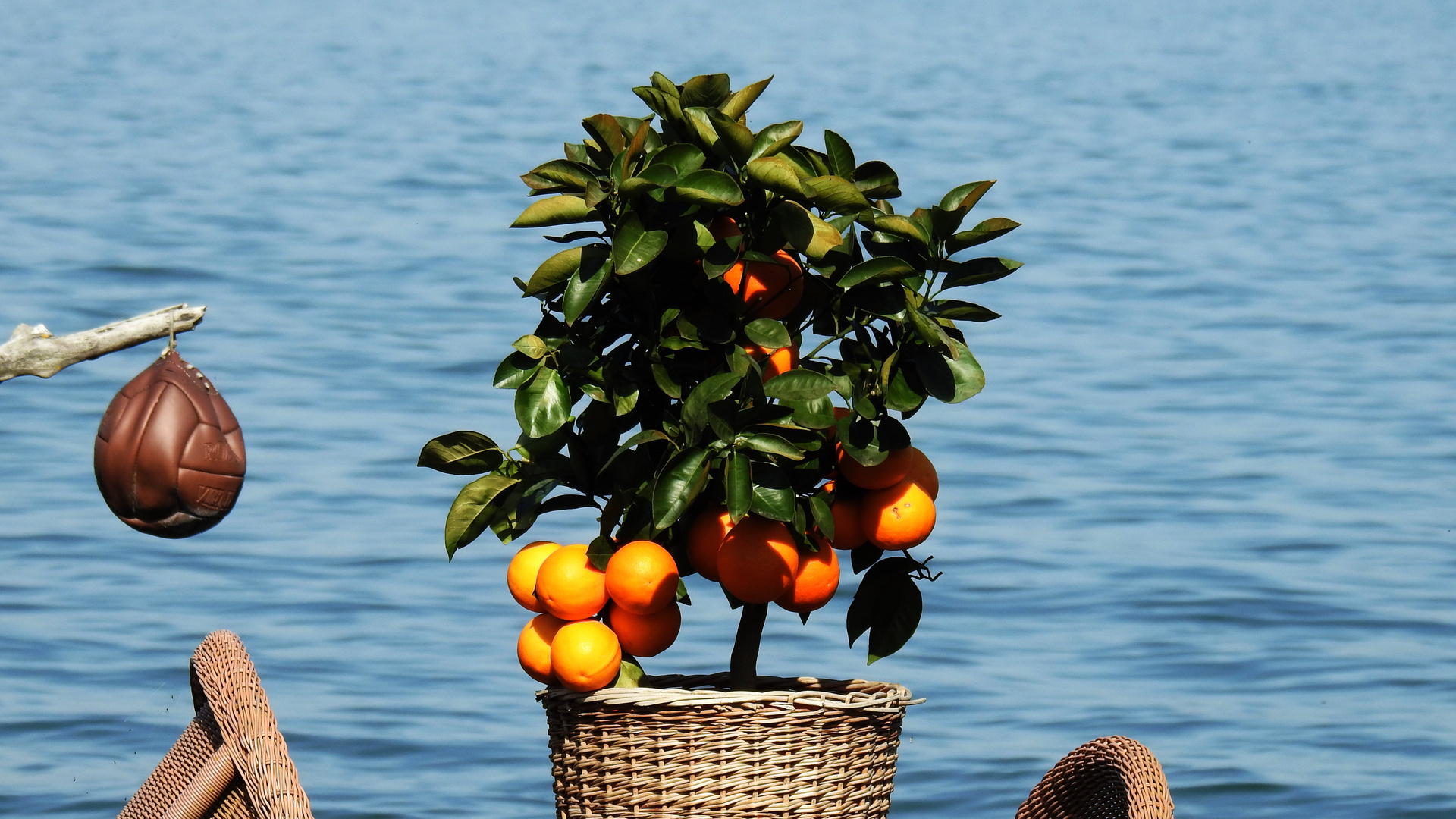 Auf der Fraueninsel im Chiemsee 19