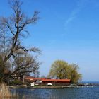 Auf der Fraueninsel  im Chiemsee 4