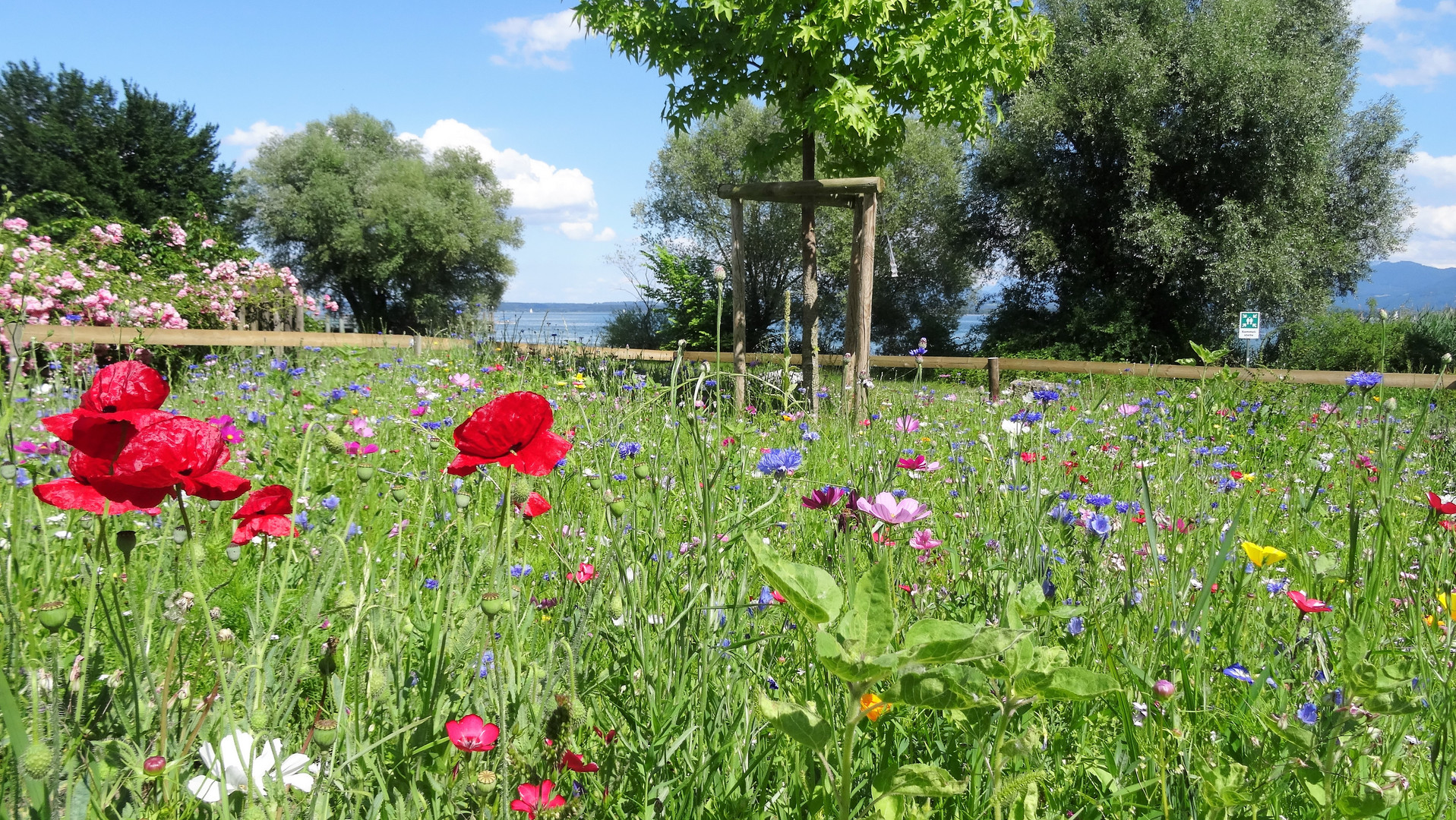 Auf der Fraueninsel im Chiemsee