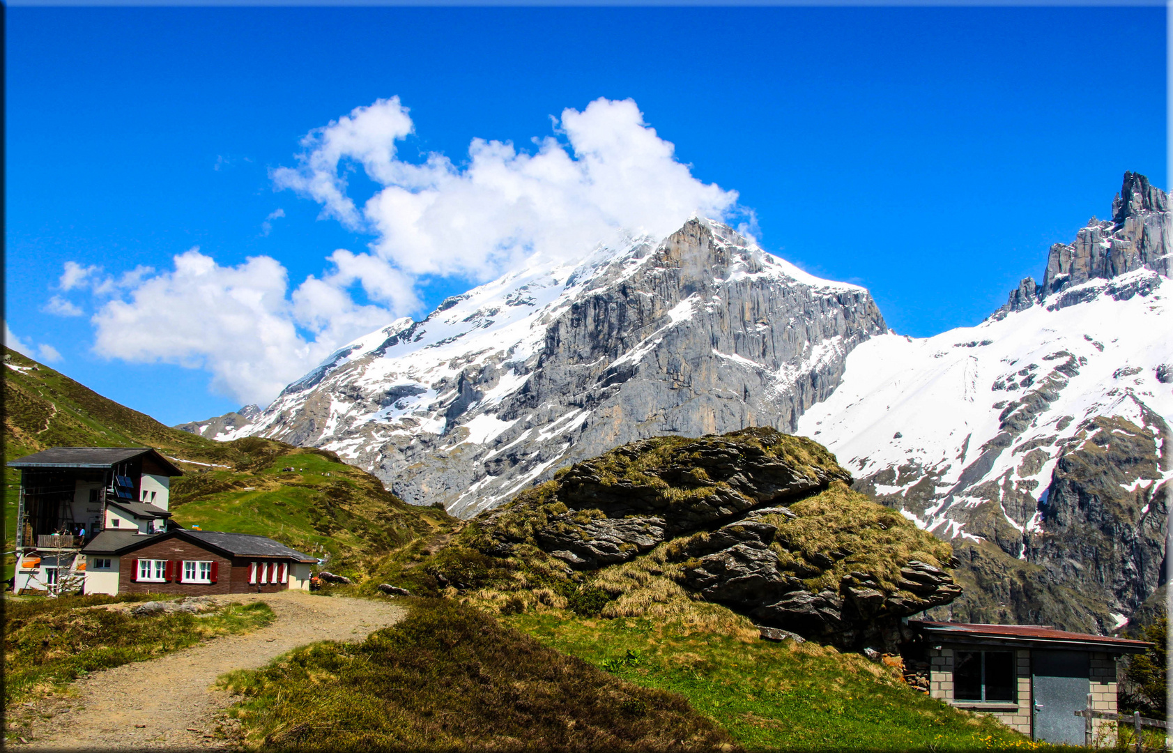 AUF DER FÜRENALP