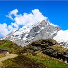 AUF DER FÜRENALP