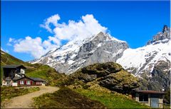 AUF DER FÜRENALP