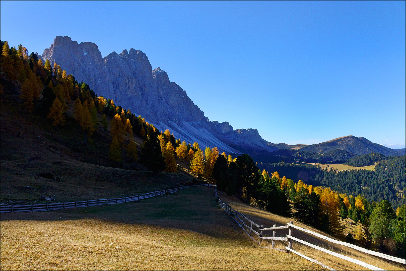 auf der Gampenalm