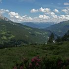 auf der Ganatsch-Alm....