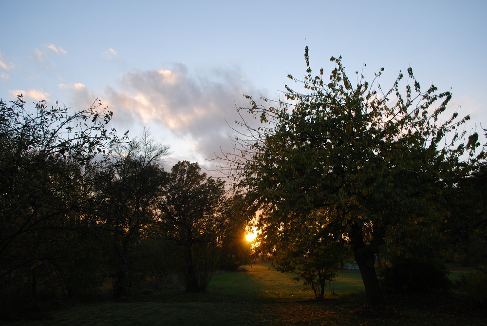 auf der Gartenbank