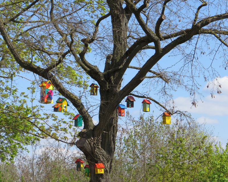 Auf der Gartenschau in Landau/Pfalz