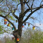 Auf der Gartenschau in Landau/Pfalz