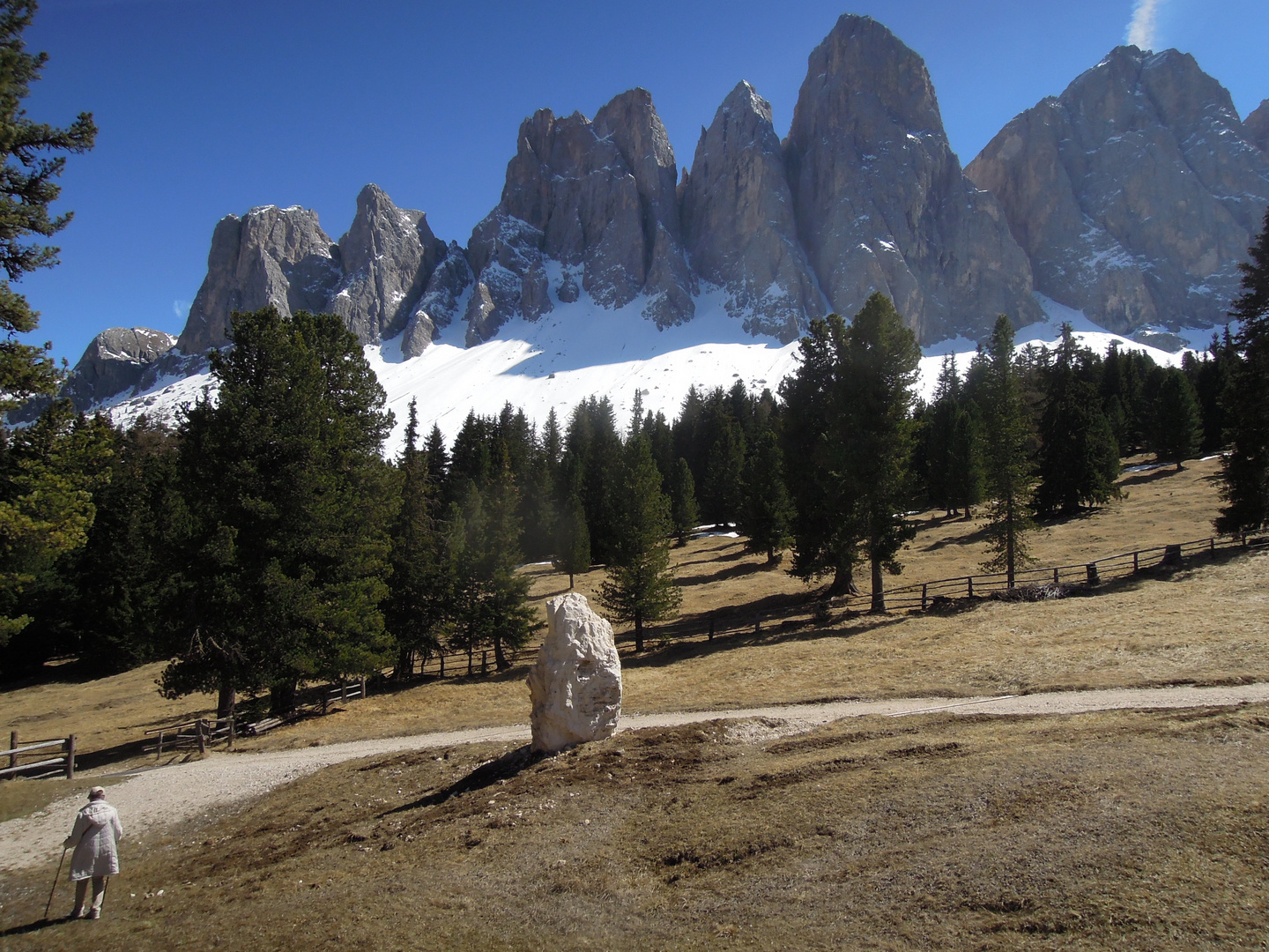 Auf der Glatschalm in Südtirol