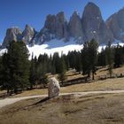 Auf der Glatschalm in Südtirol