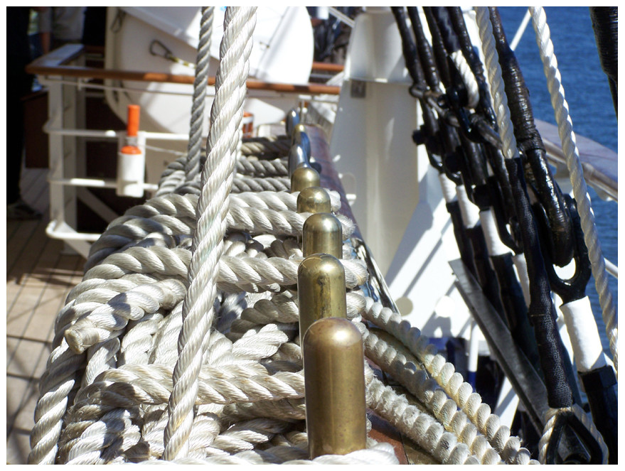 Auf der Gorch Fock