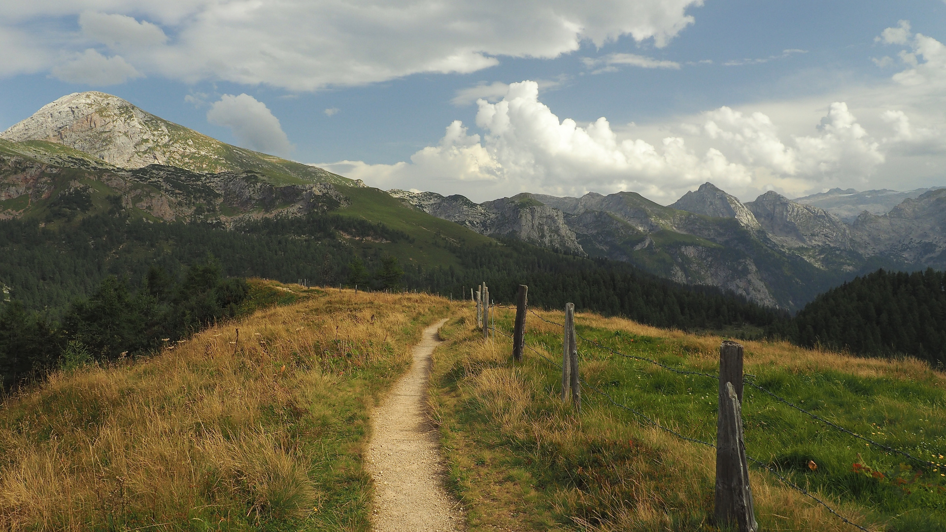 Auf der Gotzenalm, 1680m ü.d.M.