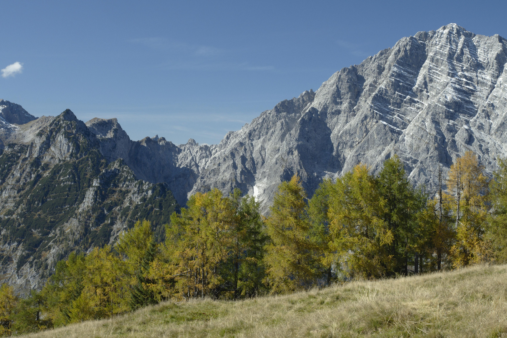 Auf der Gotzenalm