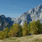 Auf der Gotzenalm