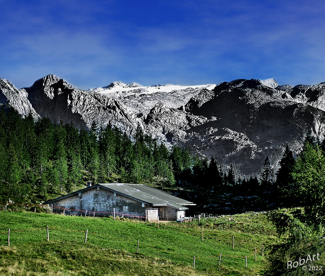 Auf der Gotzenalm (Königseegebiet)