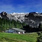 Auf der Gotzenalm (Königseegebiet)