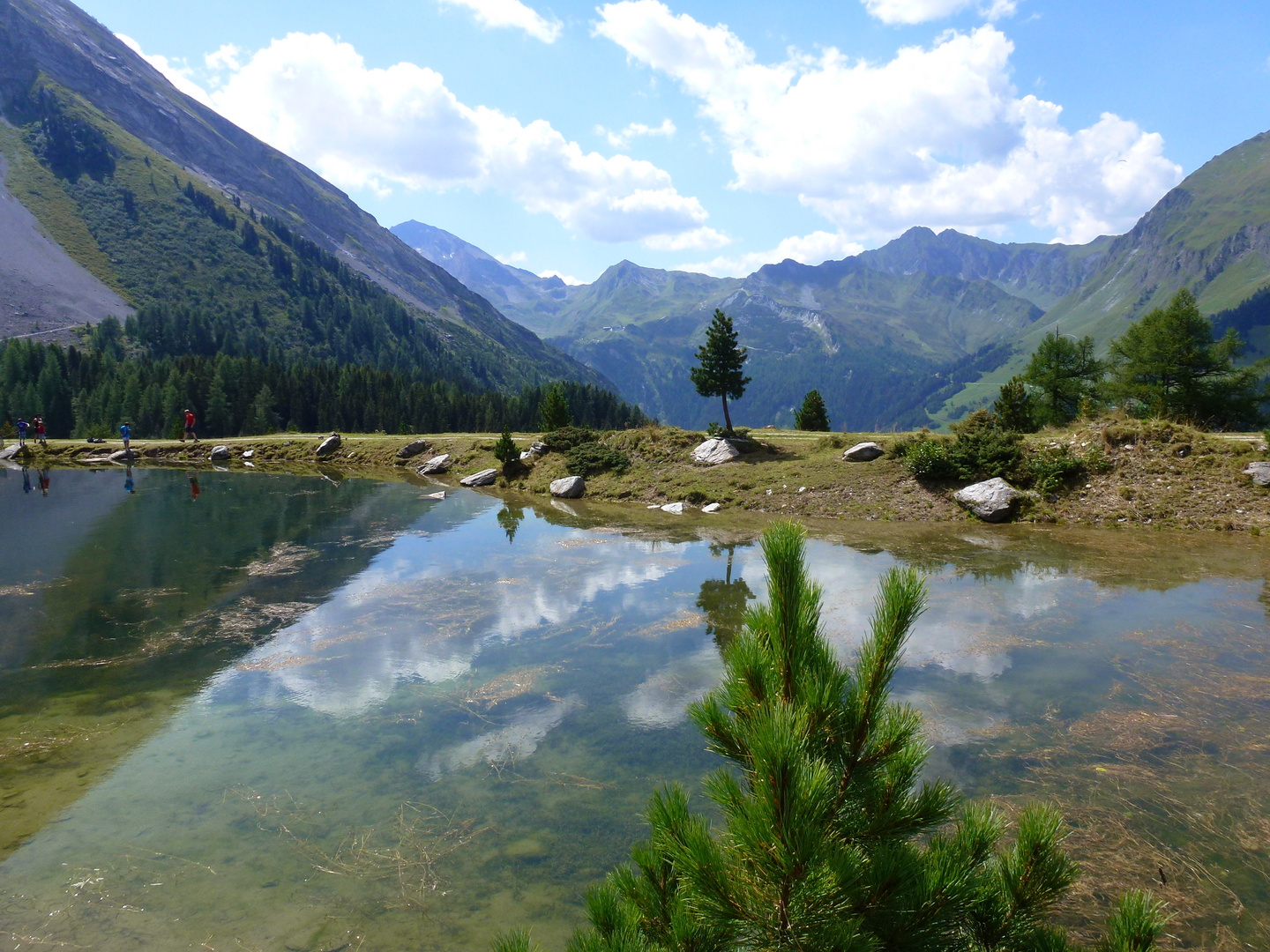 Auf der Grieralm mit Blick Richtung Hinter Tux