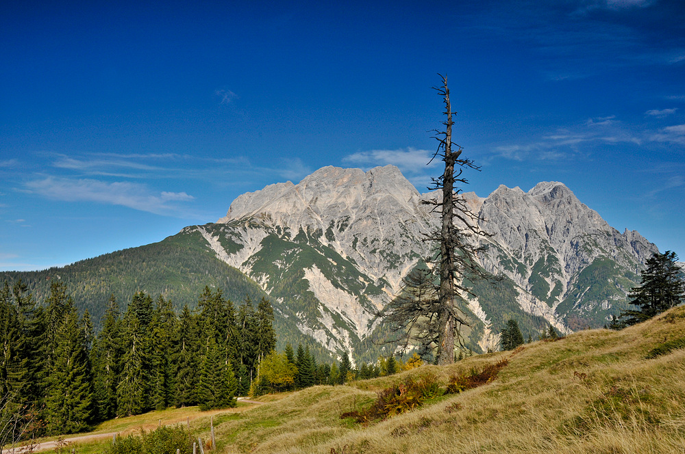 Auf der Grießner Alm